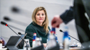 China critica a Pa&iacute;ses Bajos por limitar las exportaciones de semiconductores