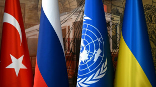 Abkommen zur Getreideausfuhr von Russland und der Ukraine unterzeichnet