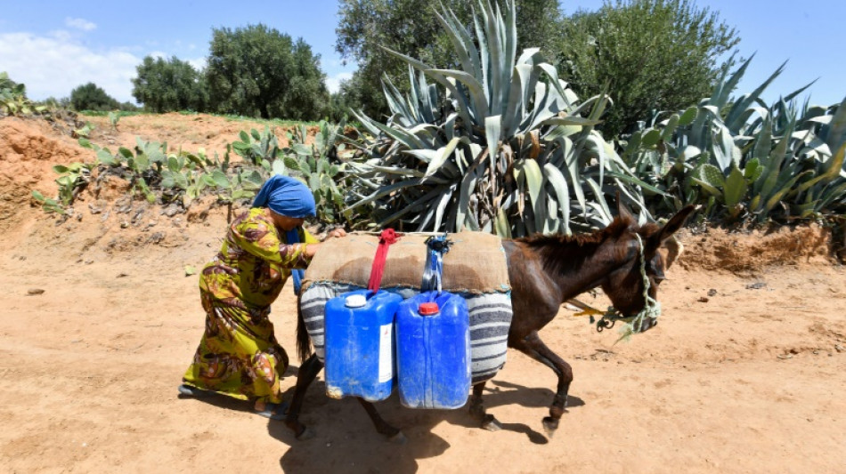 Tunisie: dans l'arri&egrave;re-pays, un village en qu&ecirc;te d'eau