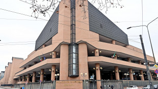 Pro Pal a Torino, 47 indagati e sette richieste di arresto