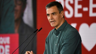Pedro S&aacute;nchez, uma carreira pol&iacute;tica dominada por reviravoltas 