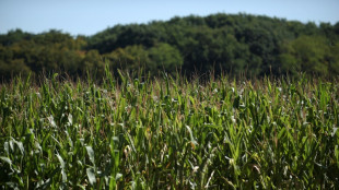 Bundesgerichtshof entscheidet im Dezember &uuml;ber R&uuml;ckkauf von unbebautem Bauland