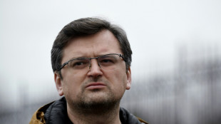 Au&szlig;enminister von Russland und der Ukraine zu Gespr&auml;chen in der T&uuml;rkei eingetroffen