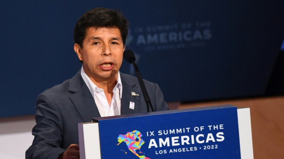 El presidente de Per&uacute; cumple un a&ntilde;o en el poder cercado por la justicia