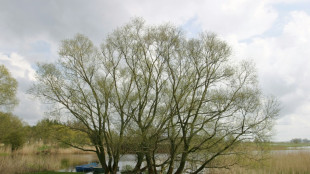 Regierung will durch Wiederherstellung von &Ouml;kosystemen zu Klimaschutz beitragen