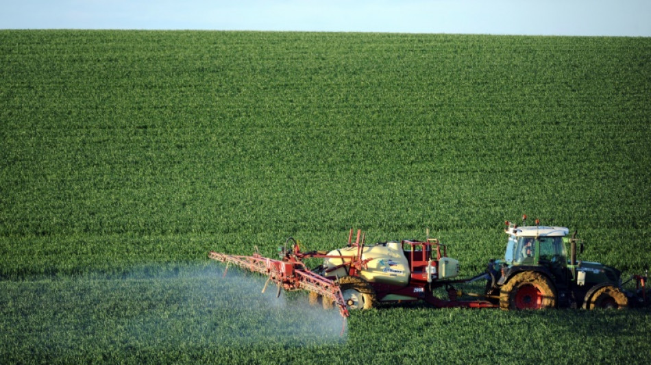 Derri&egrave;re la flamb&eacute;e du gaz en Europe, le spectre d'une p&eacute;nurie mondiale d'engrais