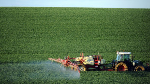 Derri&egrave;re la flamb&eacute;e du gaz en Europe, le spectre d'une p&eacute;nurie mondiale d'engrais
