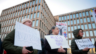 Musk ayudar&aacute; a descubrir fraudes multimillonarios contra el gobierno, dice Trump 