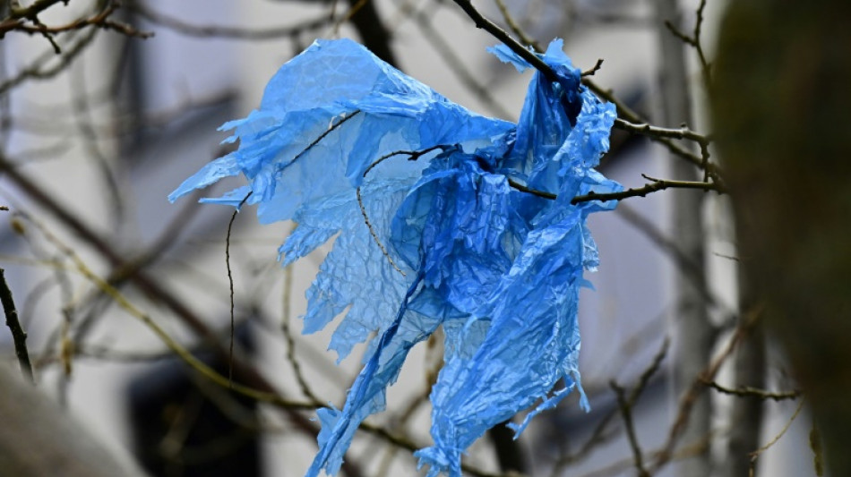 Deutschlands Verpackungsverbrauch r&uuml;ckl&auml;ufig - Recyclingquote 2022 leicht gestiegen