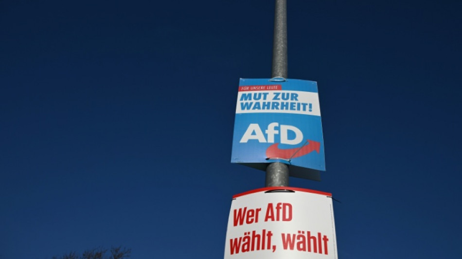 Beschwerde abgewiesen: AfD darf in Gemeinde keine weiteren Plakate aufh&auml;ngen