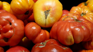 M&eacute;xico busca limitar efectos de arancel de EEUU al tomate