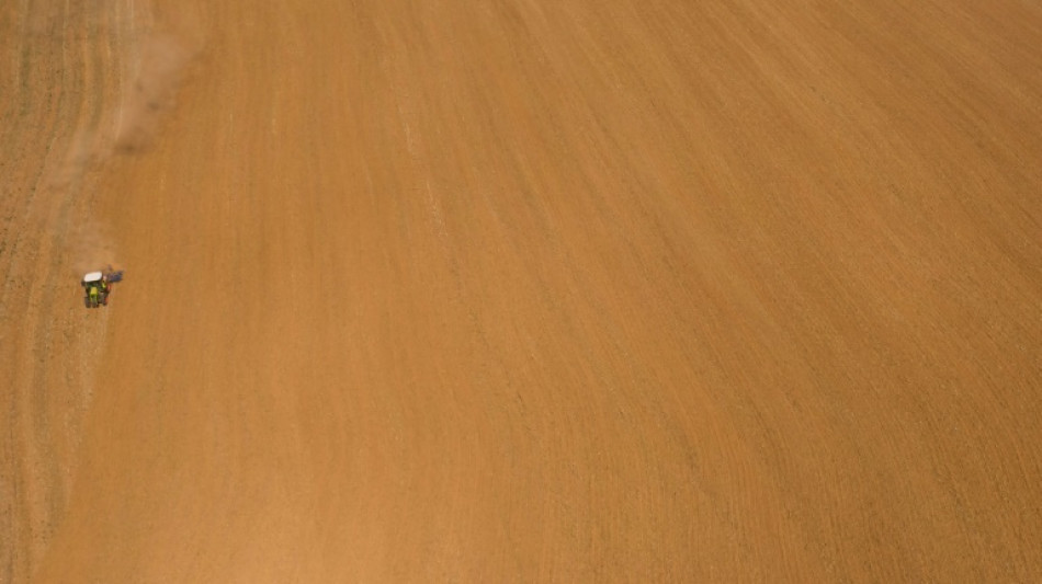 La musique adoucit les m&oelig;urs et fait pousser les champignons