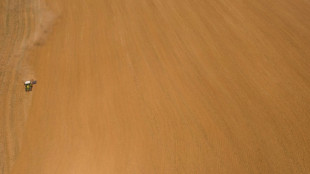 La musique adoucit les m&oelig;urs et fait pousser les champignons