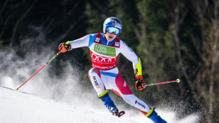 Ski alpin: Odermatt devant apr&egrave;s la 1re manche du g&eacute;ant de Kranjska Gora, les Bleus sont loin