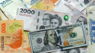 L'Argentine obtient 42 milliards des institutions financi&egrave;res internationales