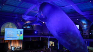 Plan&egrave;te en surchauffe: interdisons la pub pour les &eacute;nergies fossiles, lance le chef de l'ONU