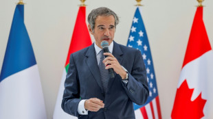 AIEA se sente ref&eacute;m das manobras diplom&aacute;ticas do Ir&atilde;, afirma diretor da ag&ecirc;ncia