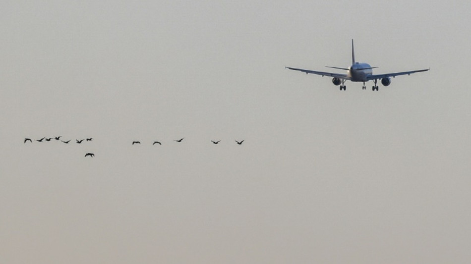 Br&uuml;ssel will L&uuml;cken bei Fahrgastrechten in Europa schlie&szlig;en