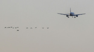 Br&uuml;ssel will L&uuml;cken bei Fahrgastrechten in Europa schlie&szlig;en