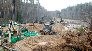 Milit&auml;rfahrzeug von vermissten US-Soldaten in Litauen geborgen