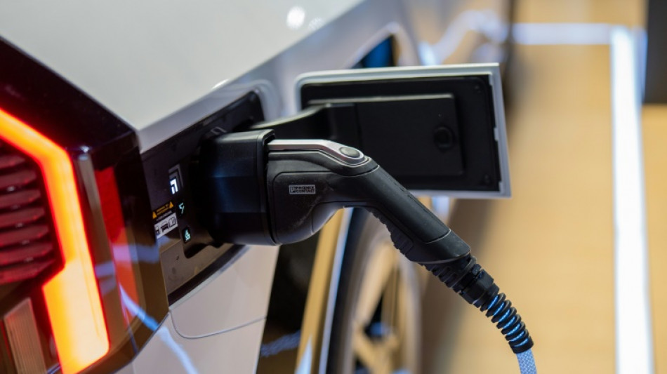 Branchenverband: Lades&auml;ulen-Angebot f&uuml;r aktuelle Anzahl E-Autos sehr hoch