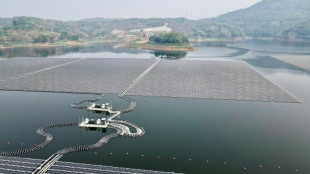 L'Indon&eacute;sie inaugure le plus vaste parc solaire flottant de la r&eacute;gion