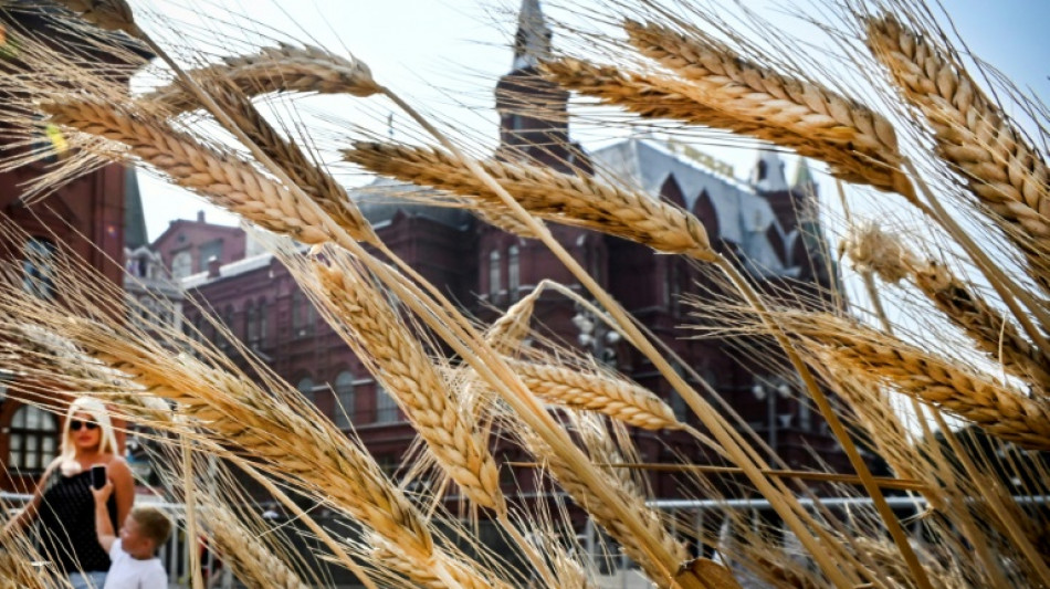 Putin dej&oacute; en tensi&oacute;n los precios del trigo