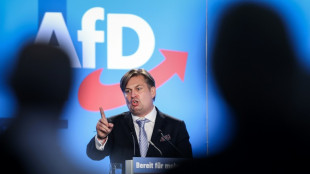 AfD setzt Kandidatenk&uuml;r bei Europawahlversammlung in Magdeburg fort