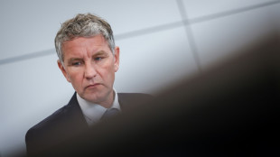 La justicia alemana impone una multa a un pol&iacute;tico de extrema derecha que us&oacute; una consigna nazi