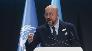 Michel (Ue), servono pi&ugrave; donatori per la finanza climatica