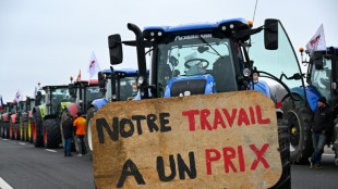 Los agricultores europeos mantienen sus bloqueos en Francia y extienden sus protestas a Espa&ntilde;a
