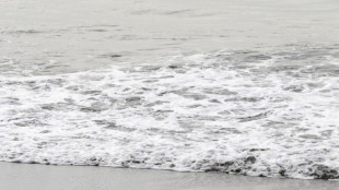 Oceani, la sfida è difendere biodiversità e fondali