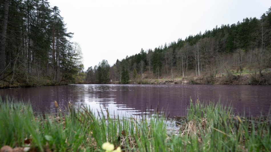 Sachverst&auml;ndigenrat: Deutschland muss schnell Weichen f&uuml;r Renaturierung stellen