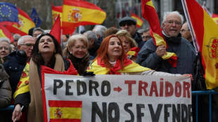 Protestos em Madri contra lei de anistia pede ren&uacute;ncia de Pedro S&aacute;nchez