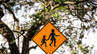 Predators 'slip through the cracks' in Australian childcare 