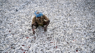 Indian readies for punishing US tariffs