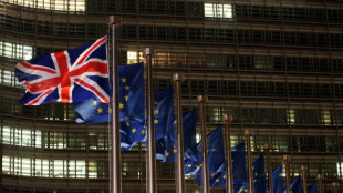 Europ&auml;ischer Gerichtshof urteilt &uuml;ber Klagebefugnis von Briten gegen Brexit