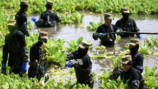 Cientos de militares combaten una planta acu&aacute;tica que cubre un lago de El Salvador