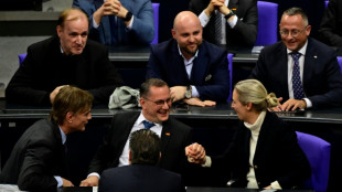 AfD-Abgeordnete reisen zu Gespr&auml;chen mit Trump-Partei in USA