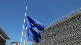 Fonti, tra misure Ue ai 27 su Israele stop ad accordo