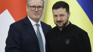 Gb, 'Ucraina &egrave; in un percorso irreversibile verso la Nato'