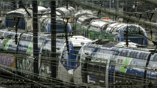 Le monde ferroviaire fran&ccedil;ais en pleine mutation face &agrave; l'av&egrave;nement de la concurrence