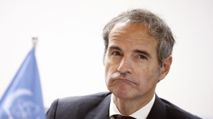 Iran, 'capo Aiea Grossi bandito dai nostri siti nucleari'