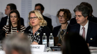 40 L&auml;nder versprechen Ukraine Unterst&uuml;tzung bis zum vollst&auml;ndigen Wiederaufbau