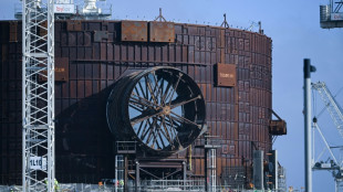 Retard, co&ucirc;ts: nouveaux d&eacute;rapages pour les EPR d'EDF en Angleterre
