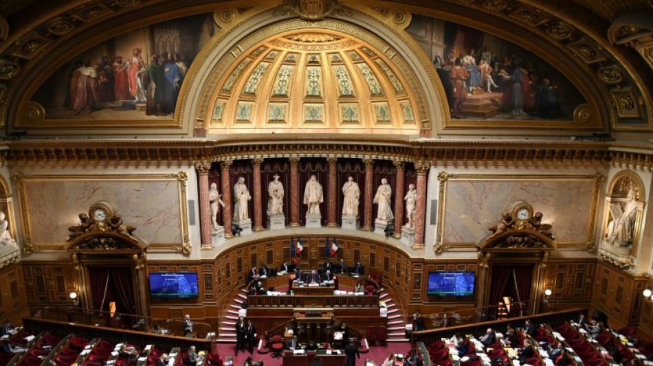 Retraites: le S&eacute;nat adopte la r&eacute;forme des retraites avant une semaine d&eacute;cisive