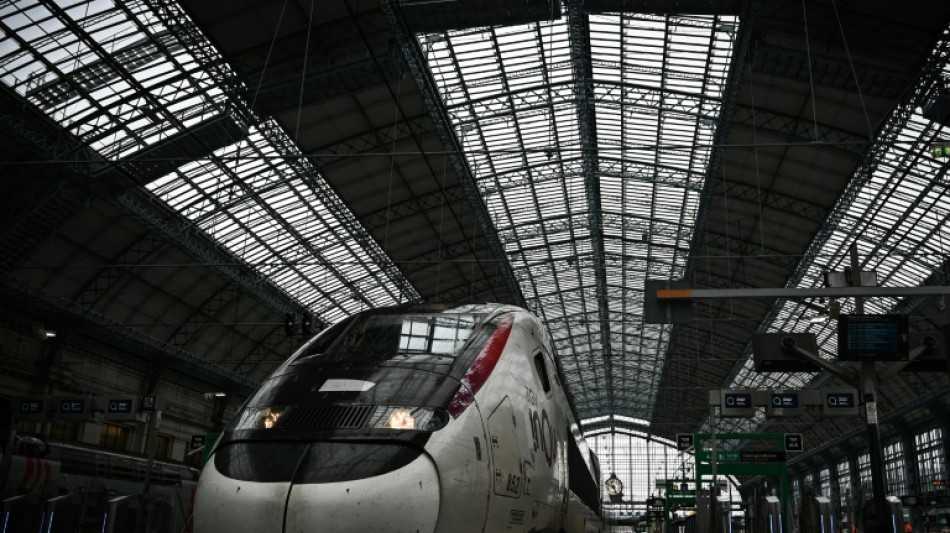 TGV, TER, Ouigo: la gr&egrave;ve &agrave; la SNCF perturbe les d&eacute;parts en vacances
