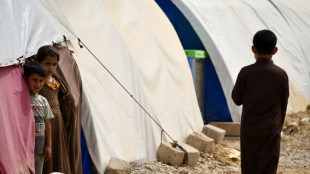 EUA repatria americanos e europeus de campo de prisioneiros jihadistas na S&iacute;ria