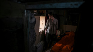 Beh&ouml;rden melden Stromausfall in weiten Teilen der Ostukraine