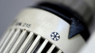 Erzeugerpreise f&uuml;r Energie im Januar 32,9 Prozent &uuml;ber Vorjahresniveau